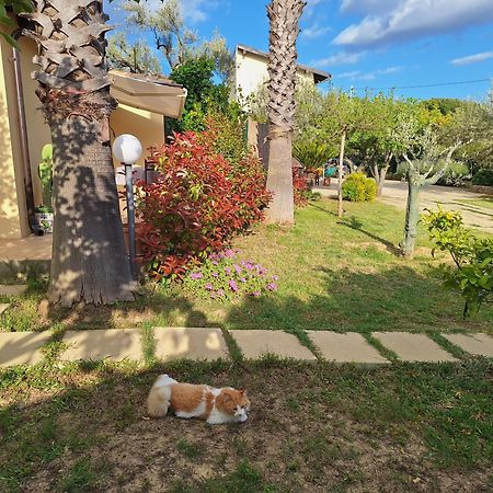 Casa Vacanze La Cuntintizza San Michele di Ganzaria Extérieur photo